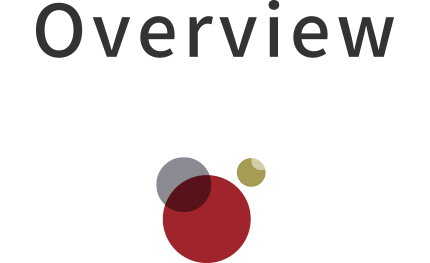 Overview